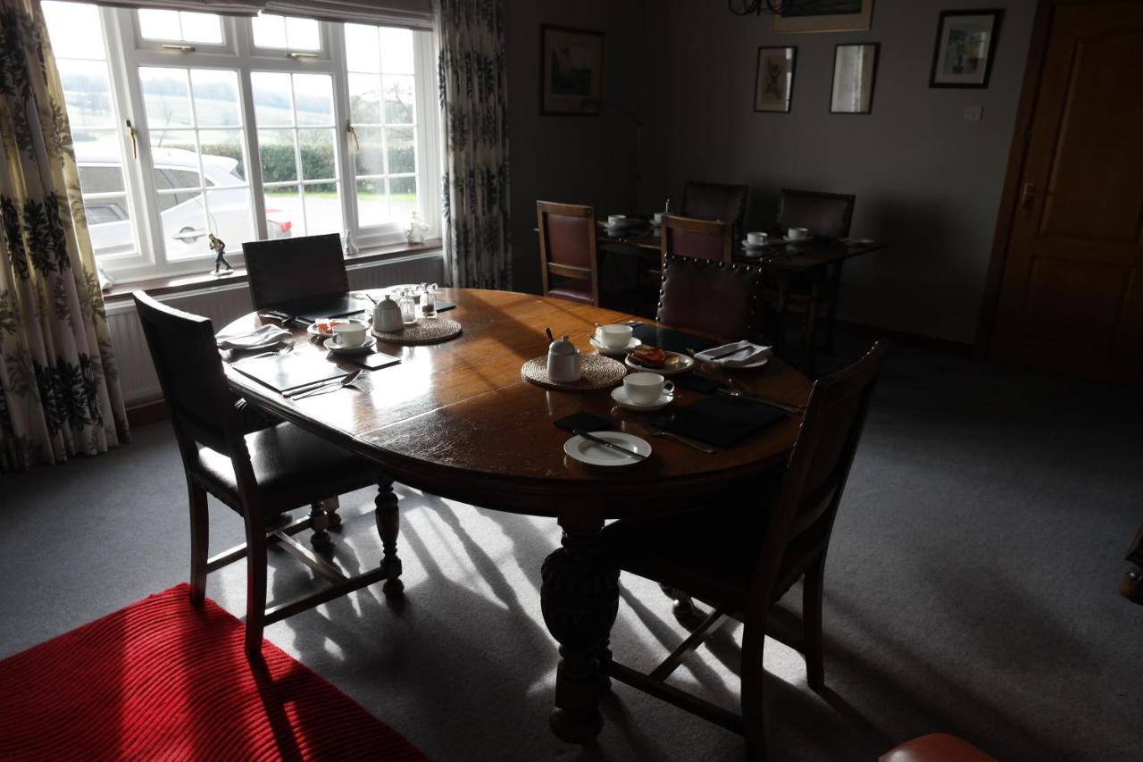 Hazel Court Guest House 纽波特 外观 照片